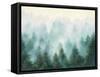 Misty Forest-Julia Purinton-Framed Stretched Canvas