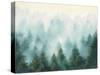 Misty Forest-Julia Purinton-Stretched Canvas