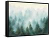 Misty Forest-Julia Purinton-Framed Stretched Canvas