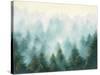 Misty Forest-Julia Purinton-Stretched Canvas