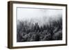 Misty Forests of Evergreen Coniferous Trees in an Ethereal Landscape with Low Laying Mist or Cloud-PlusONE-Framed Premium Photographic Print