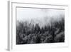 Misty Forests of Evergreen Coniferous Trees in an Ethereal Landscape with Low Laying Mist or Cloud-PlusONE-Framed Photographic Print