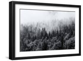 Misty Forests of Evergreen Coniferous Trees in an Ethereal Landscape with Low Laying Mist or Cloud-PlusONE-Framed Photographic Print