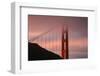 Misty Golden Gate Tower, San Francisco California-Vincent James-Framed Photographic Print