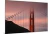 Misty Golden Gate Tower, San Francisco California-Vincent James-Mounted Photographic Print