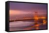 Misty Golden Morning, Golden Gate Bridge, San Francisco-Vincent James-Framed Stretched Canvas