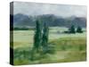 Misty Green Valley I-Ethan Harper-Stretched Canvas