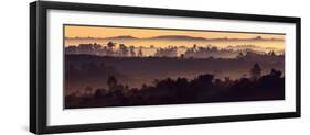 Misty Hills-Art Wolfe-Framed Photographic Print