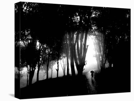 Misty Hillside-Eh Kartanegara-Stretched Canvas