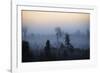 Misty Horizons-Andreas Stridsberg-Framed Giclee Print