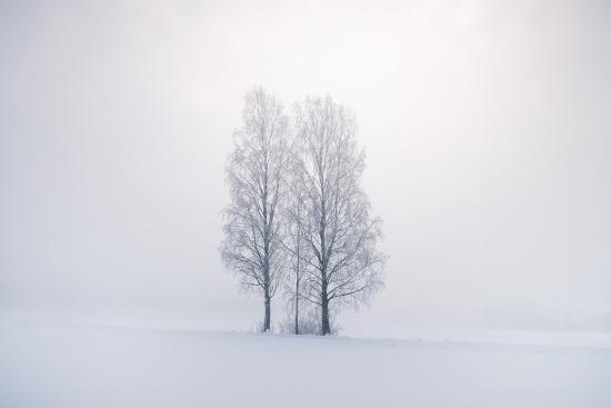 Photo, , large