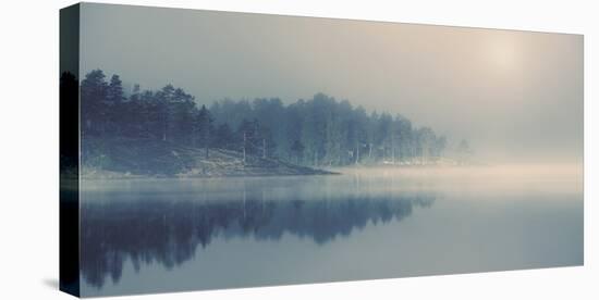 Misty Light-Andreas Stridsberg-Stretched Canvas