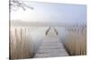 Misty Lookout-Christian Mueringer-Stretched Canvas