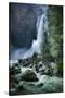 Misty Lower Yosemite Falls, California-Vincent James-Stretched Canvas