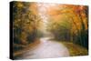 Misty Maine Road in Autumn, Bar Harbor, Acadia National Park-Vincent James-Stretched Canvas