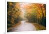 Misty Maine Road in Autumn, Bar Harbor, Acadia National Park-Vincent James-Framed Photographic Print