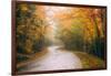 Misty Maine Road in Autumn, Bar Harbor, Acadia National Park-Vincent James-Framed Photographic Print