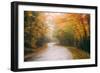 Misty Maine Road in Autumn, Bar Harbor, Acadia National Park-Vincent James-Framed Photographic Print