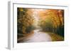 Misty Maine Road in Autumn, Bar Harbor, Acadia National Park-Vincent James-Framed Photographic Print