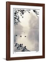 Misty Mallards-Donald Satterlee-Framed Giclee Print