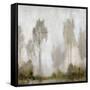 Misty Marsh I-Tim O'toole-Framed Stretched Canvas