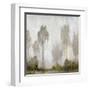 Misty Marsh I-Tim O'toole-Framed Art Print