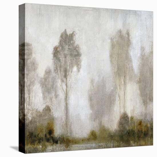 Misty Marsh I-Tim O'toole-Stretched Canvas