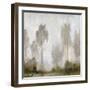 Misty Marsh I-Tim O'toole-Framed Art Print