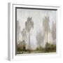 Misty Marsh I-Tim O'toole-Framed Art Print