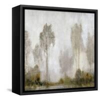 Misty Marsh I-Tim O'toole-Framed Stretched Canvas