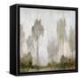 Misty Marsh I-Tim O'toole-Framed Stretched Canvas