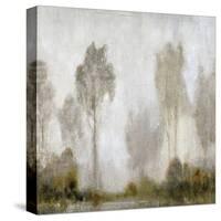 Misty Marsh I-Tim O'toole-Stretched Canvas