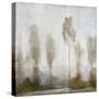 Misty Marsh II-Tim O'toole-Stretched Canvas