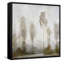 Misty Marsh II-Tim O'toole-Framed Stretched Canvas