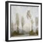 Misty Marsh II-Tim O'toole-Framed Art Print