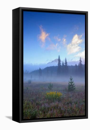 Misty Meadow Morning, Mount Hood Wilderness, Oregon-Vincent James-Framed Stretched Canvas