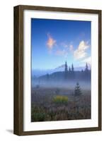 Misty Meadow Morning, Mount Hood Wilderness, Oregon-Vincent James-Framed Photographic Print