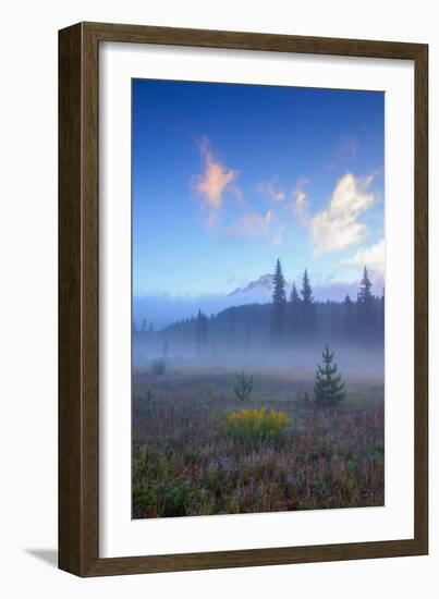 Misty Meadow Morning, Mount Hood Wilderness, Oregon-Vincent James-Framed Photographic Print