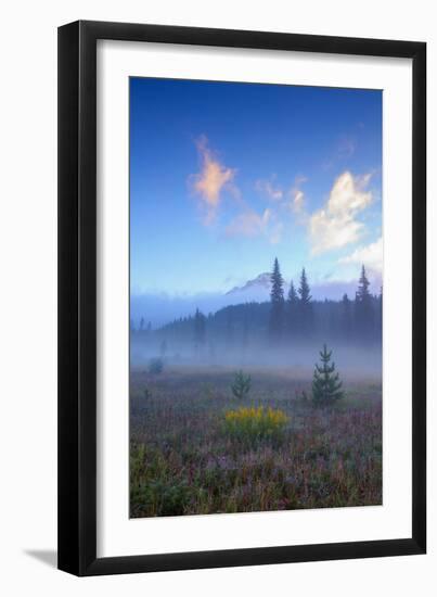 Misty Meadow Morning, Mount Hood Wilderness, Oregon-Vincent James-Framed Photographic Print