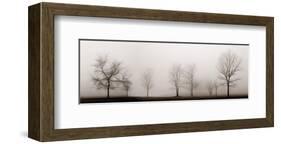 Misty Meadow-Erin Clark-Framed Art Print