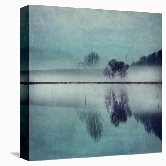 Misty Mirror-Dirk Wuestenhagen-Stretched Canvas