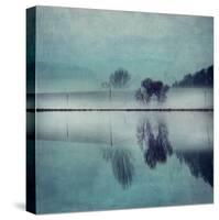 Misty Mirror-Dirk Wuestenhagen-Stretched Canvas