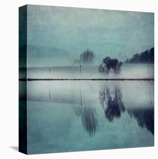 Misty Mirror-Dirk Wuestenhagen-Stretched Canvas
