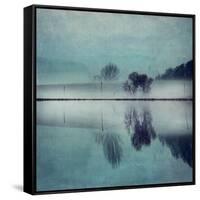 Misty Mirror-Dirk Wuestenhagen-Framed Stretched Canvas