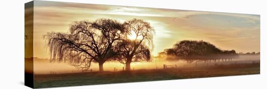 Misty Morning 2-Wayne Bradbury-Stretched Canvas