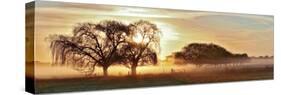 Misty Morning 2-Wayne Bradbury-Stretched Canvas