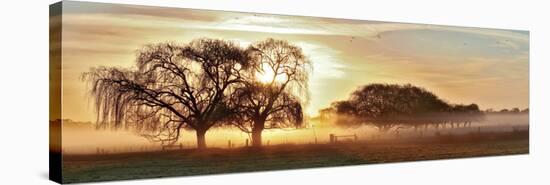 Misty Morning 2-Wayne Bradbury-Stretched Canvas