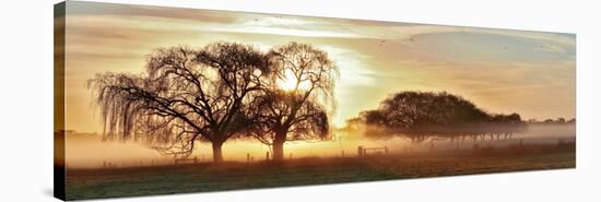 Misty Morning 2-Wayne Bradbury-Stretched Canvas