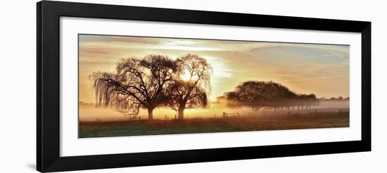 Misty Morning 2-Wayne Bradbury-Framed Photographic Print