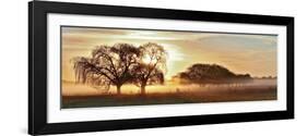 Misty Morning 2-Wayne Bradbury-Framed Photographic Print